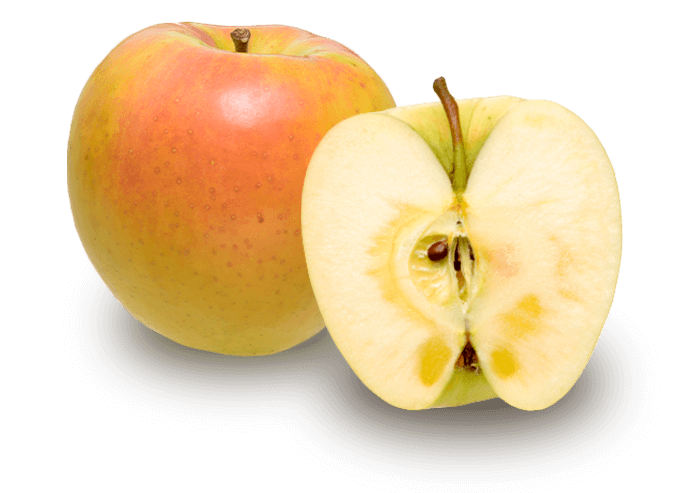 蘋果種類 來自日本的青森蘋果